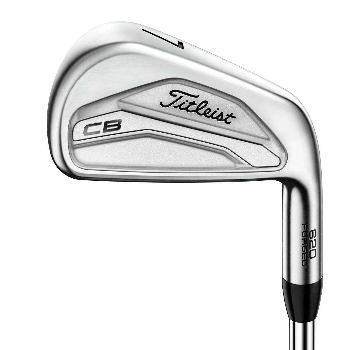 Titleist 620 CB Golf Irons - Steel - Rental
