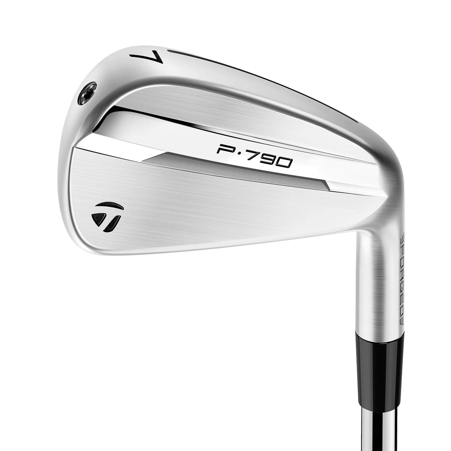 TaylorMade P790 25 Golf Irons - Steel - Rental