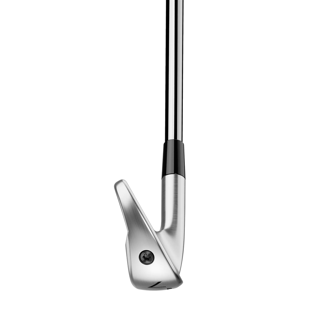 TaylorMade P790 25 Golf Irons - Steel - Rental